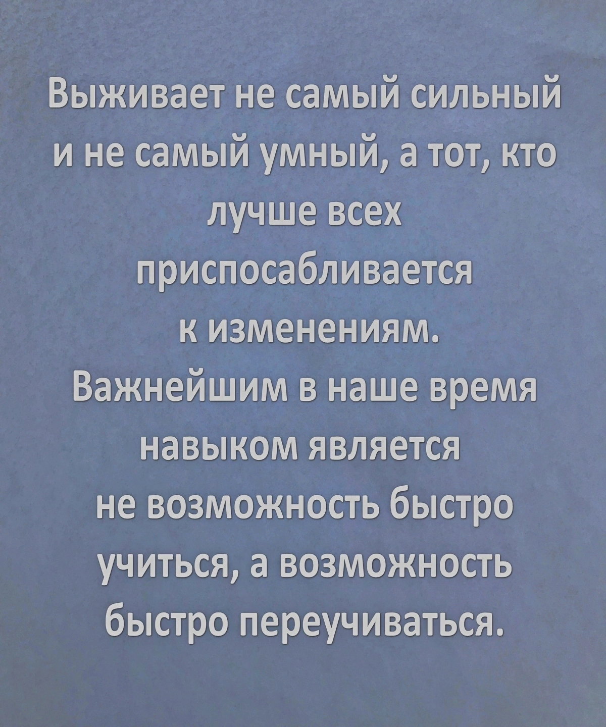 А что вы думаете по этому поводу? | Сетка — социальная сеть от hh.ru