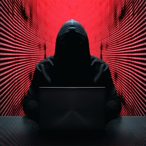 Пётр Фомин | Сетка — социальная сеть от hh.ru