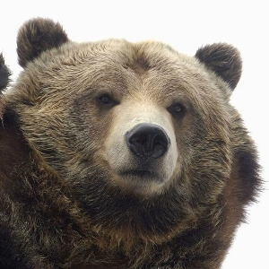 Александр Пушкин