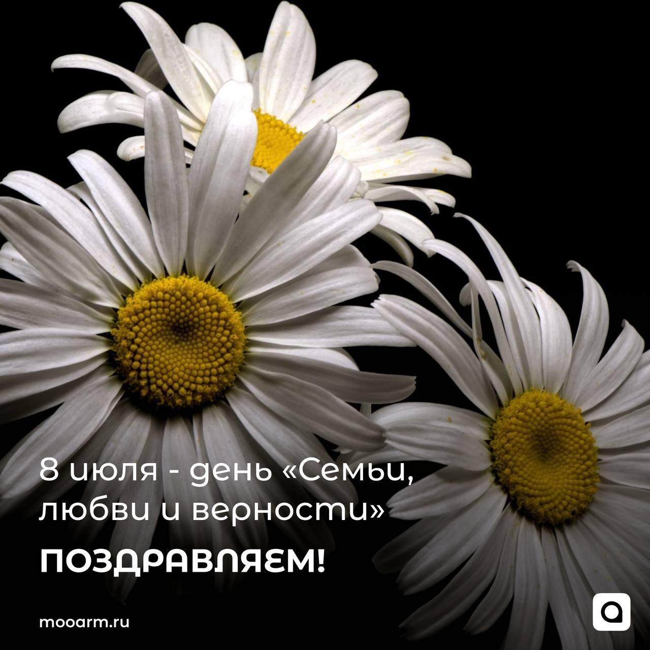 Сегодня, 8 июля празднуется Всероссийский день семьи, любви и верности! 
День семьи, любви и верности отмечается ежегодно 8 июля в России | Сетка — социальная сеть от hh.ru