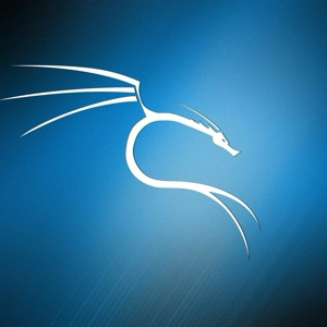 Роман Иванов | Сетка — социальная сеть от hh.ru