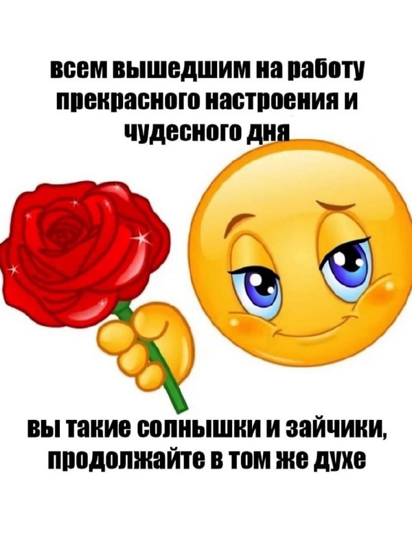 Работем, коллеги! | Сетка — социальная сеть от hh.ru