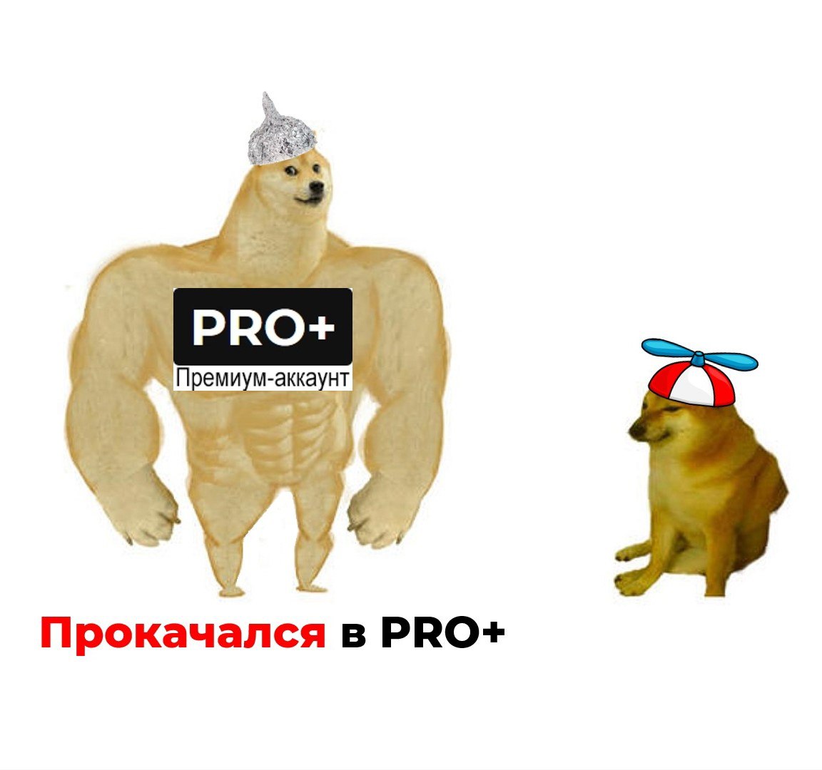 Подписаться на PRO+ ➡️ https://bif.one/LNsfqN9
Доступ к эксклюзивным материалам ➡️ https://bif.one/LPgkjZ6
Блог—Инженера для тебя ❤️ | Сетка — социальная сеть от hh.ru
