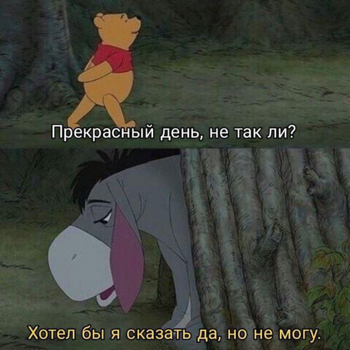 С понедельником! | Сетка — социальная сеть от hh.ru