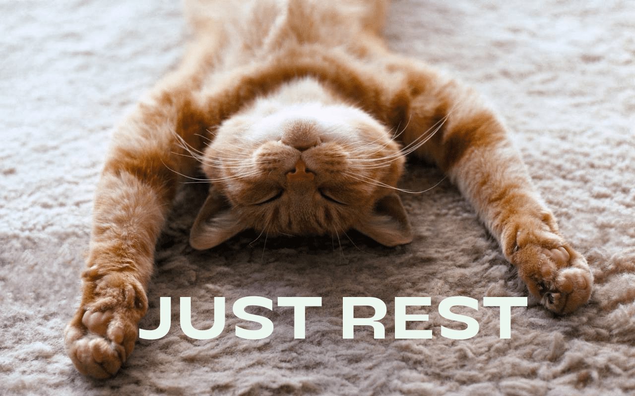 Всем, куа!
REST API на котиках
Читать дальше
|QA (Куа-куа)| | Сетка — социальная сеть от hh.ru