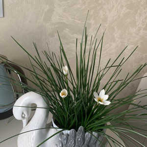 Ирина Абрамова | Сетка — социальная сеть от hh.ru