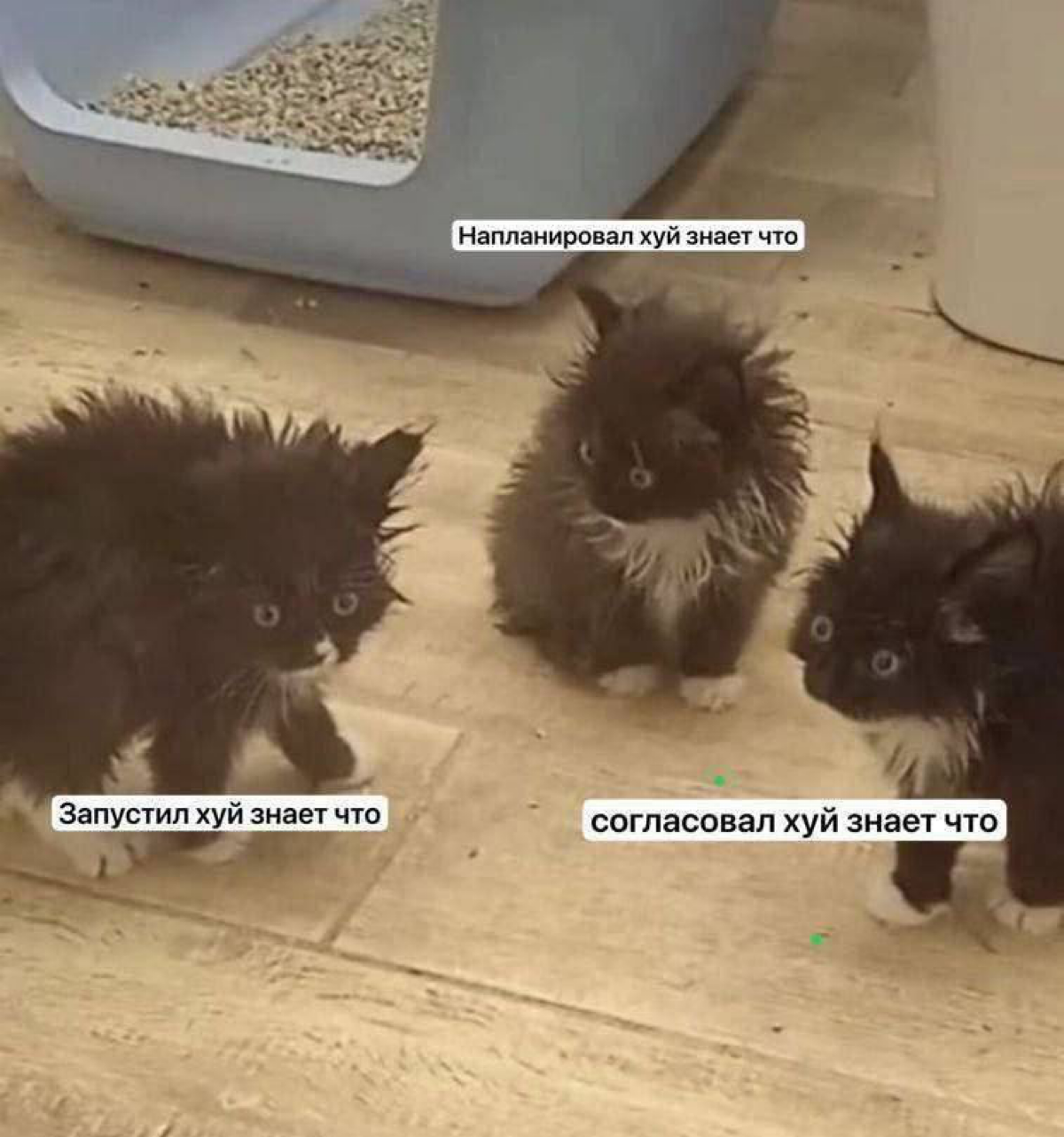 Мем смешной, ситуация страшная | Сетка — социальная сеть от hh.ru