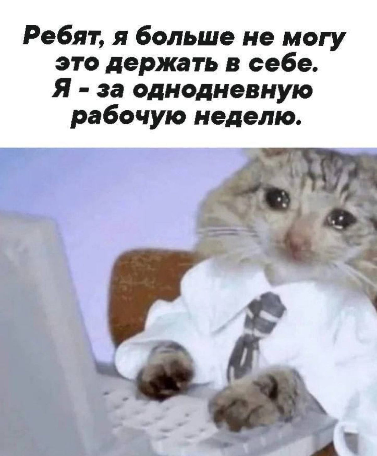 #тенденциипрошлойнедели #ищемработувместе #ProhorovaConsult
Аналитика вакансий за прошедшую неделю !
Я и моя команда Prohorova Consult  каждую неделю работает с огромным количеством вакансий, на основ... | Сетка — социальная сеть от hh.ru