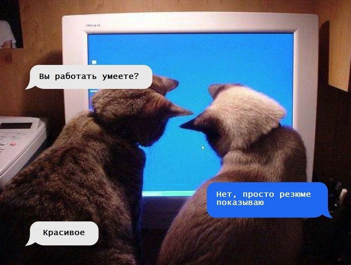 Здесь можно словить кринжухи, пацаны!)
(Или hr, который про тебя забыл )
Русский рыночек найма- это такой единорог, в который верится очень с трудом) Я моушен дизайнер и ищу своё место через множество... | Сетка — социальная сеть от hh.ru