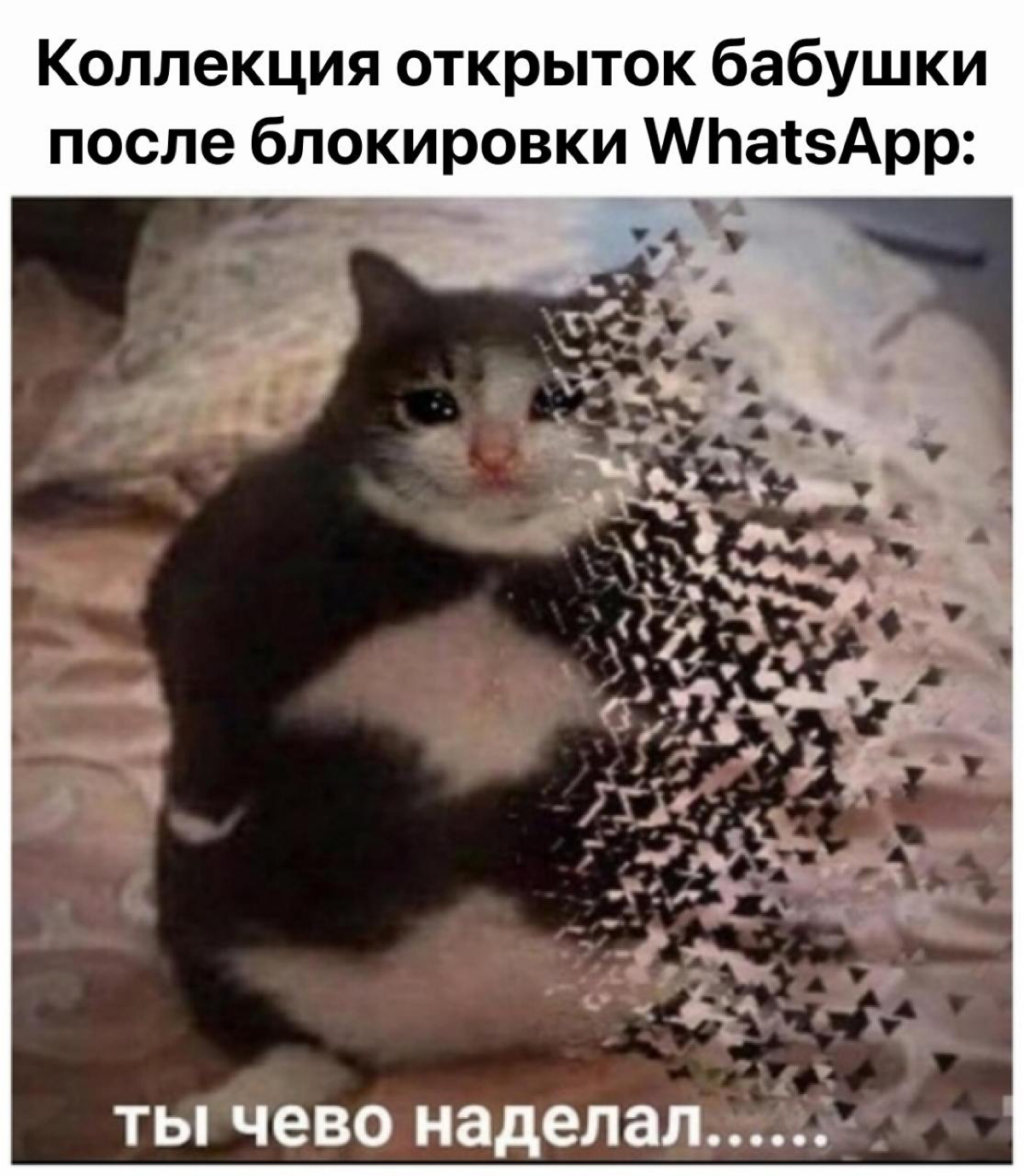 ⚡️В России могут заблокировать WhatsApp. Об этом заявил Александр Хинштейн.
Причина — мессенджер регулярно нарушает законы РФ. Кроме того, компания не помогает властям бороться с экстремизмом | Сетка — социальная сеть от hh.ru