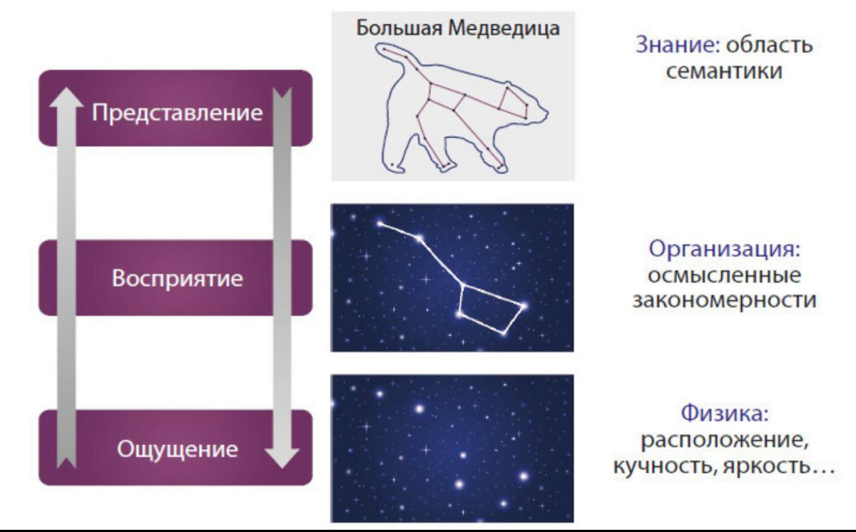 Процесс восприятия
#theory | Сетка — социальная сеть от hh.ru