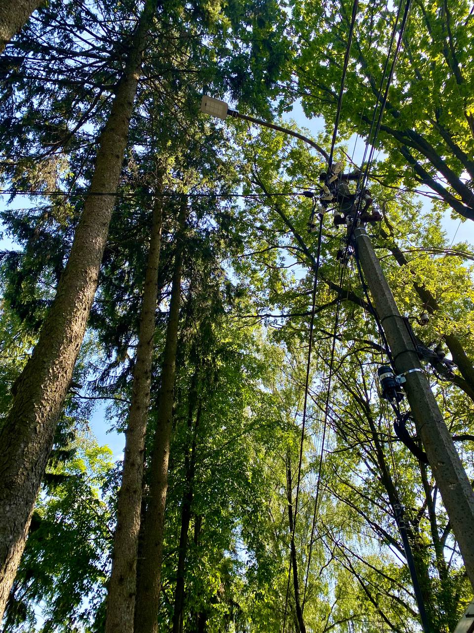 🌳На прошлой неделе аж 4 раза по вечерам гулял без телефона! И это было очень круто
Я окончательно убедился, что залипание в телефон мешает качественному отдыху | Сетка — социальная сеть от hh.ru