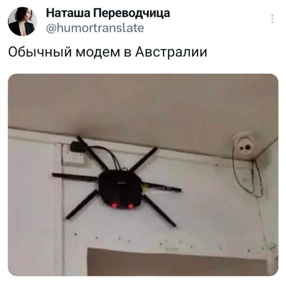 Только не показывайте такую технику арахнофобам. | Сетка — социальная сеть от hh.ru