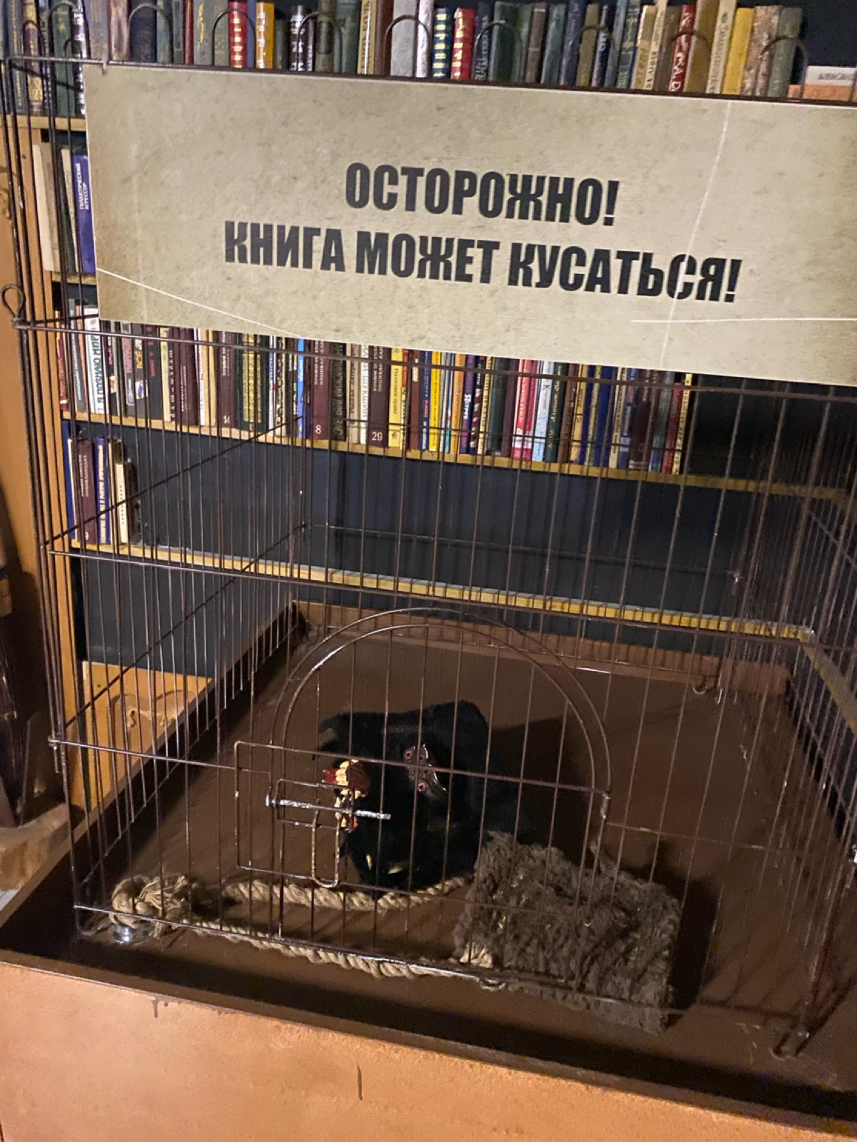 Как бы вы отнеслись к читальному клубу среди коллег? Было бы интересно принять участие в таком маленьком обществе для обсуждения релевантной бизнес-литературы? Есть желание организовать что-то подобно... | Сетка — социальная сеть от hh.ru