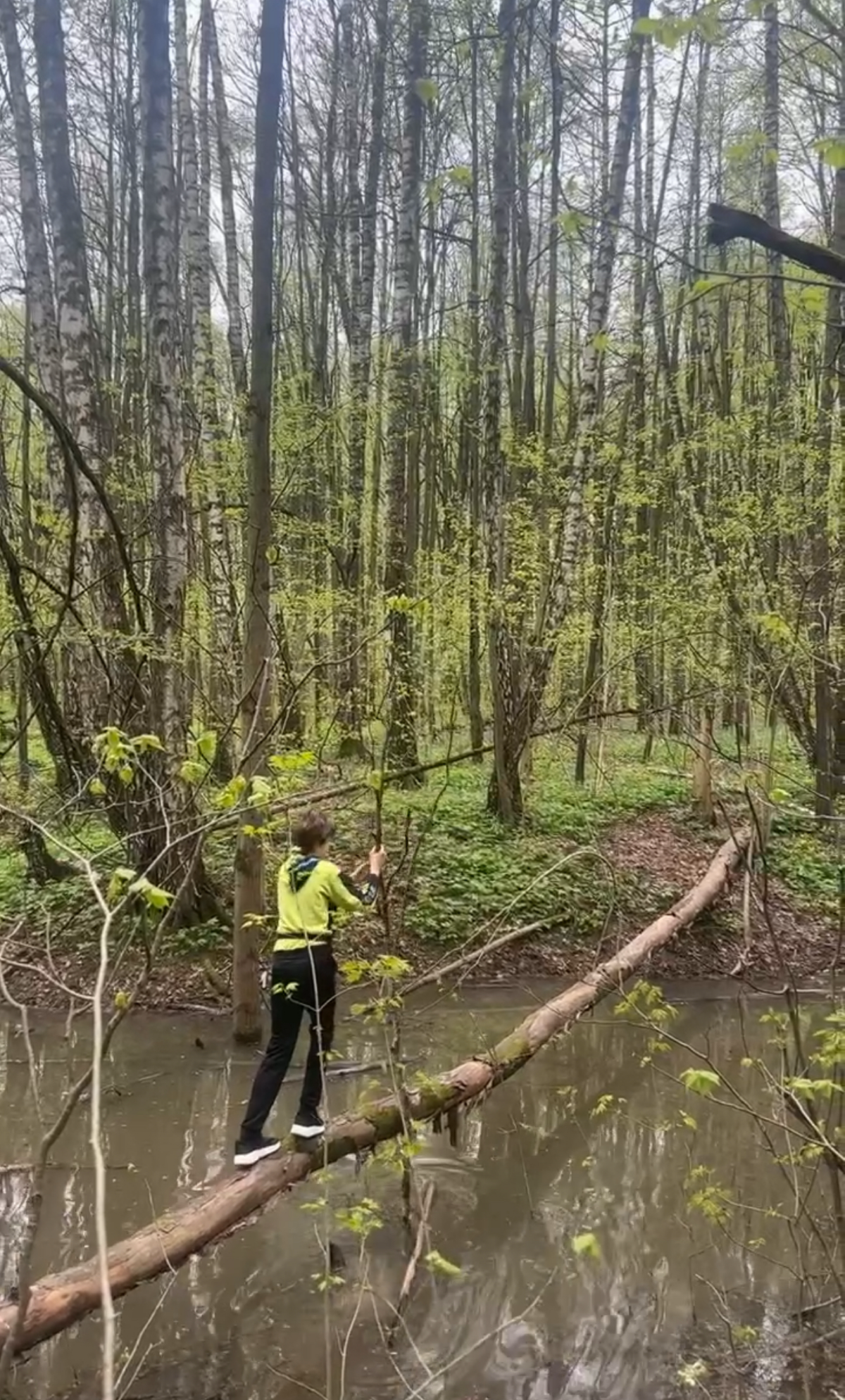 Таким своим действием мой сын показал мне очень важное отличие его от меня. У нас разные жизненные стратегии | Сетка — социальная сеть от hh.ru