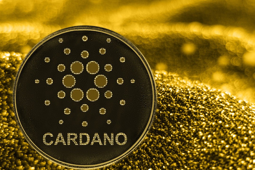 Альткоин Cardano положительно отреагировал на подготовку к форку Chang | Сетка — социальная сеть от hh.ru