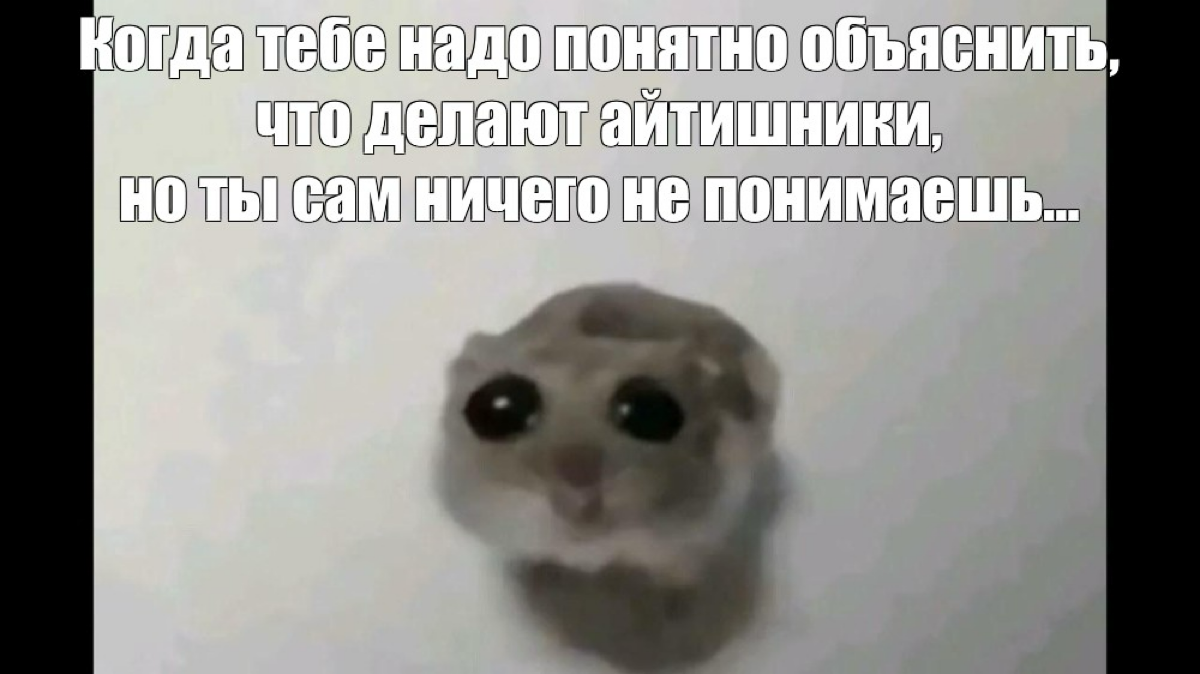 На DevRel Conf в апреле этого года прекрасный (без преувеличения) спикер Александр Фатин из PostgresPro сказал, что деврел должен быть айтишником | Сетка — социальная сеть от hh.ru