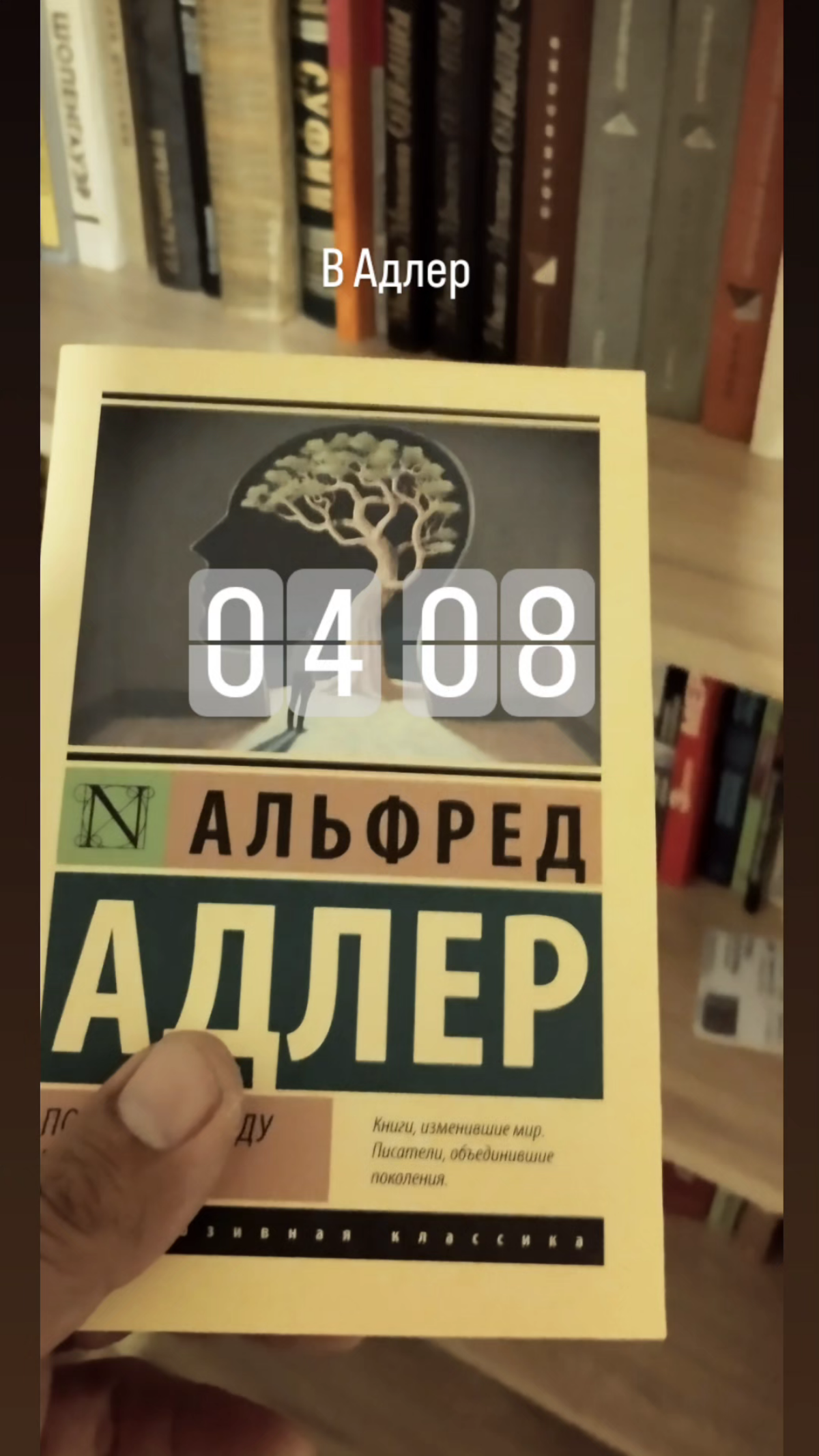 С утра по раньше #Адлер #Психолог | Сетка — социальная сеть от hh.ru
