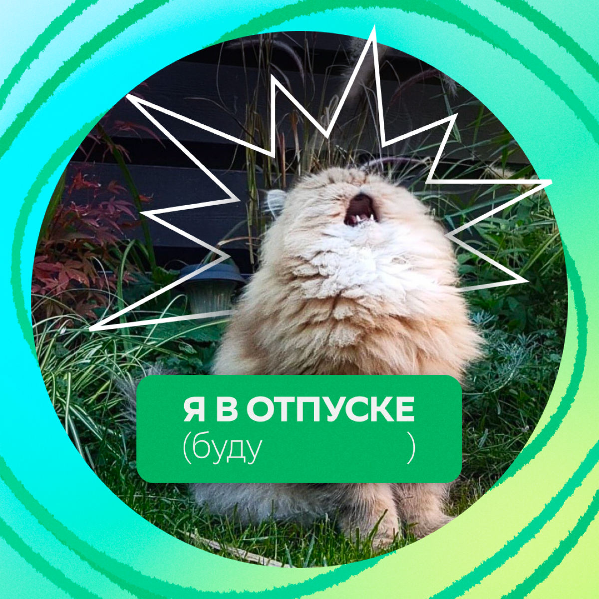 Вот и Сбер поделился отпускными аватарками для мессенджеров. | Сетка — социальная сеть от hh.ru