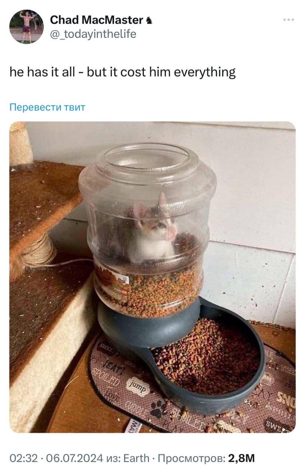 В сети показали кота, который, кажется, выиграл жизнь.
Даже завидно ему как-то стало. | Сетка — социальная сеть от hh.ru