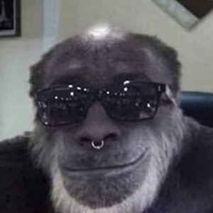 community avatar
