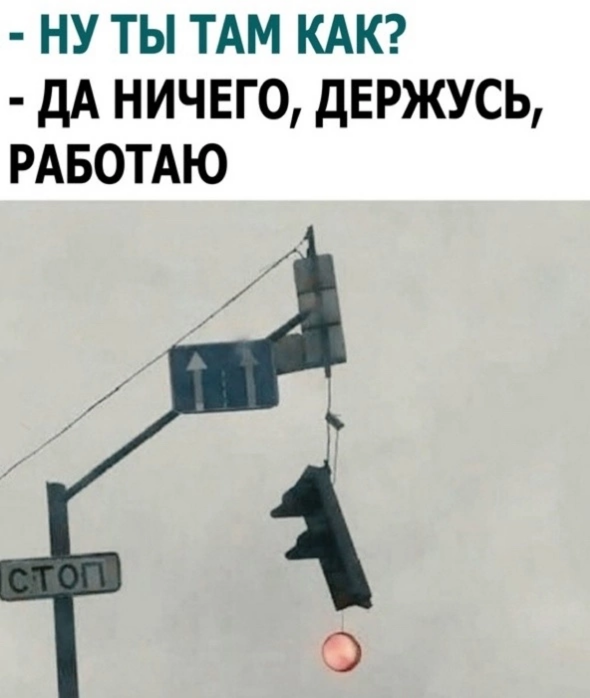 Лайк, если узнал себя | Сетка — социальная сеть от hh.ru