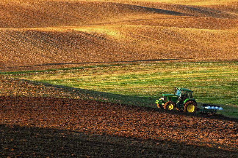 🥬☑️ Как накормить 10 млрд человек без вреда планете?
По прогнозам, население Земли к 2050 году достигнет почти 10 млрд человек. На сегодняшний день 25 тыс жителей планеты умирает от голода ежедневно | Сетка — социальная сеть от hh.ru