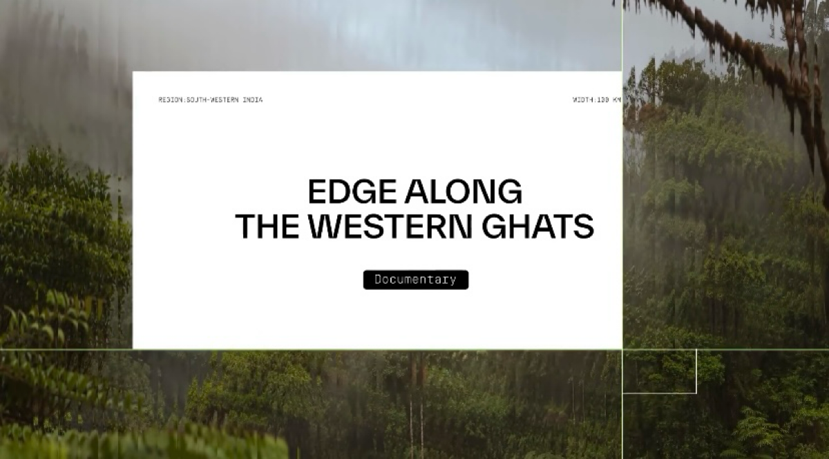 Природа на грани | Сетка — социальная сеть от hh.ru