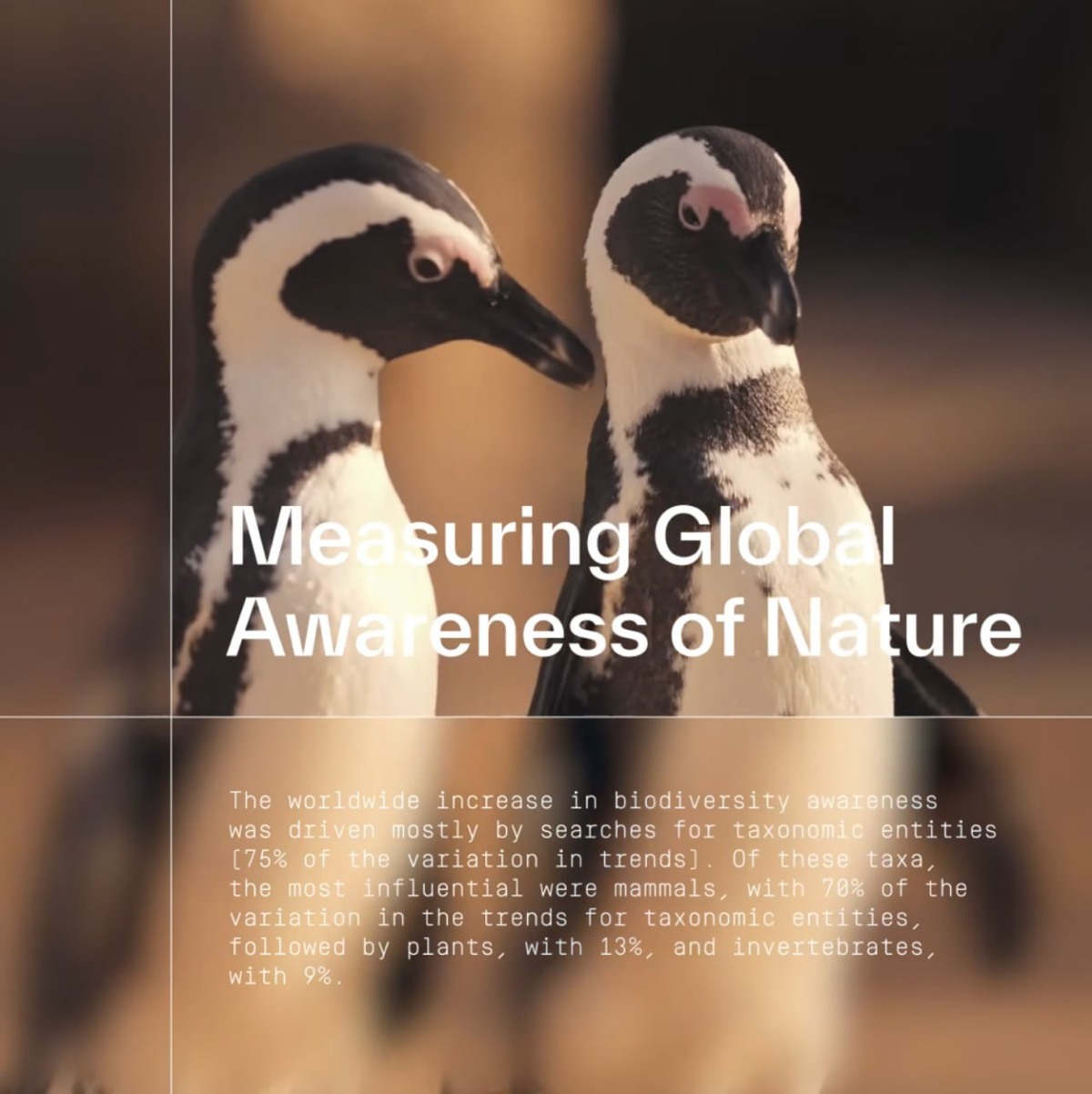 Природа на грани | Сетка — социальная сеть от hh.ru