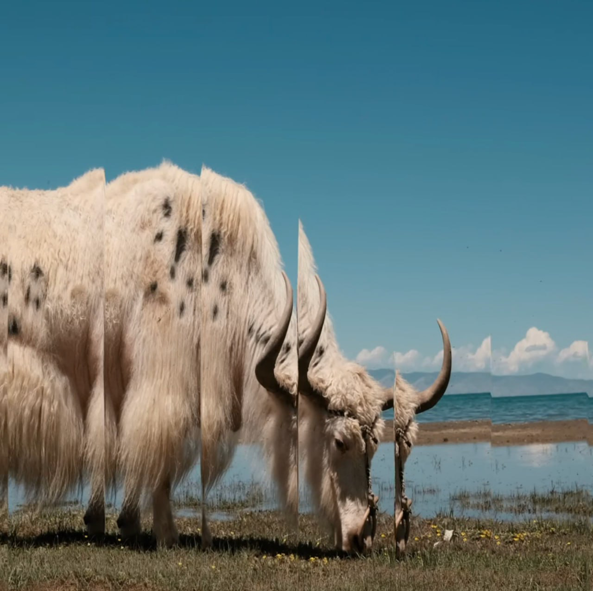 Природа на грани | Сетка — социальная сеть от hh.ru