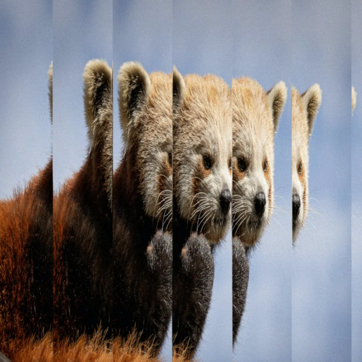 Природа на грани | Сетка — социальная сеть от hh.ru