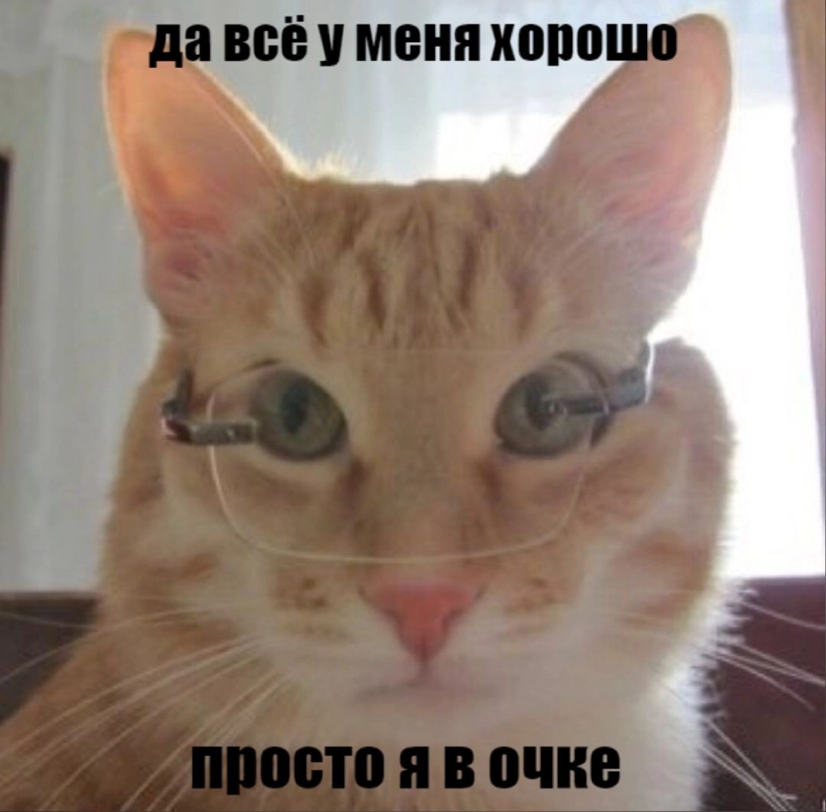 когда до сдачи проекта 2 дня,
а ты ещё даже не начинал | Сетка — социальная сеть от hh.ru