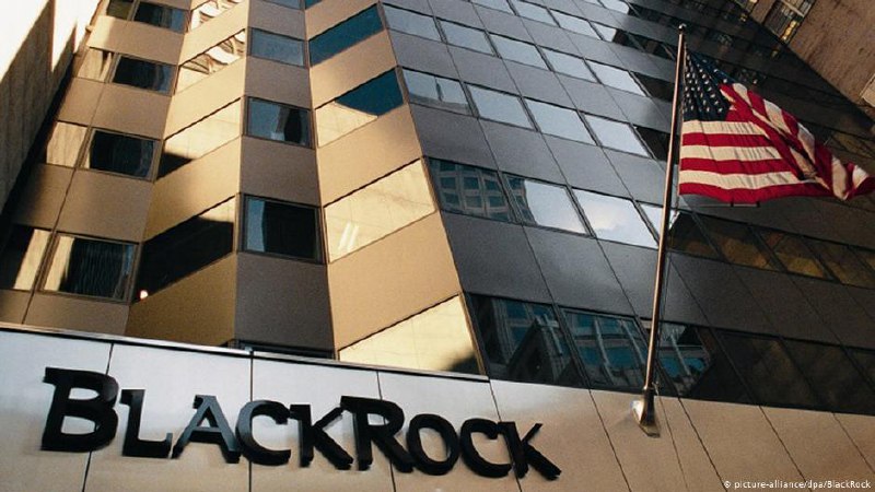 Капитализация токенизированного фонда BlackRock превысила $500 млн | Сетка — социальная сеть от hh.ru