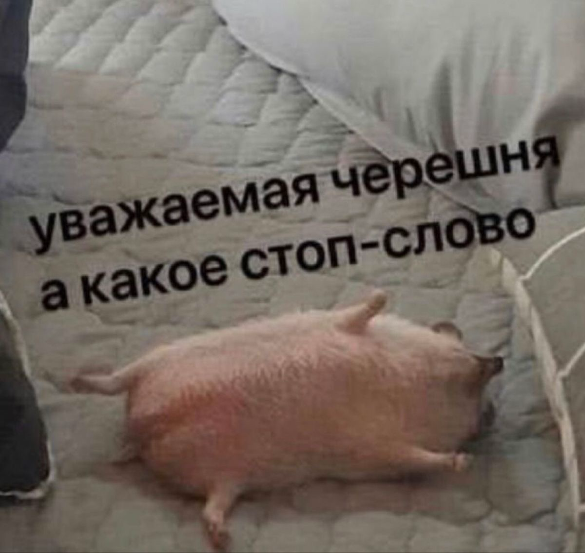 comment image
