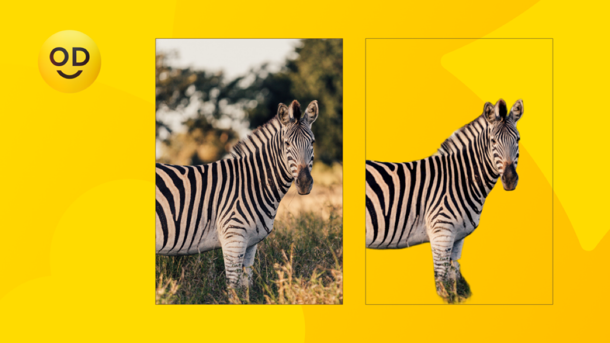 Пять бесплатных сервисов для удаления фона с фотографий | Сетка — социальная сеть от hh.ru