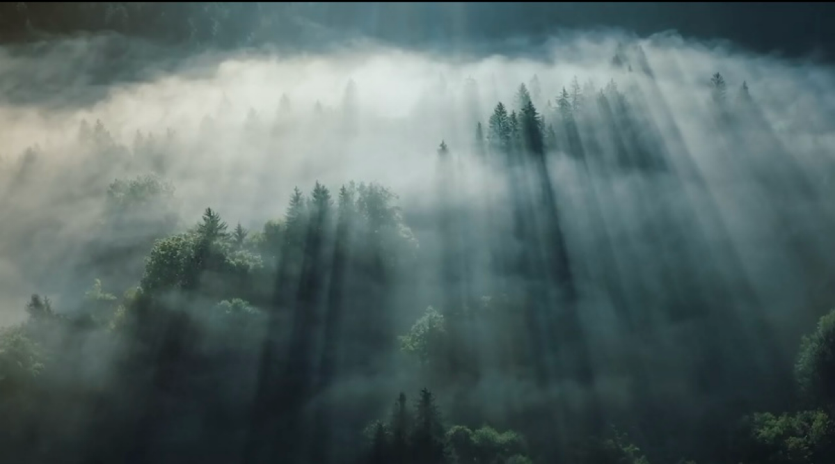 Метафоры в рекламе | Сетка — социальная сеть от hh.ru