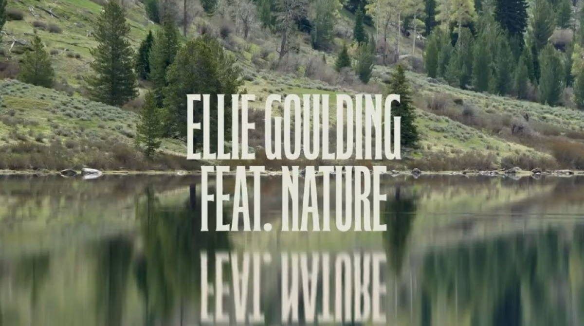 Метафоры в рекламе | Сетка — социальная сеть от hh.ru