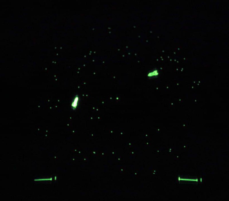 ### Galaxy Game (1971) 🌌
Краткая история: 
Galaxy Game, созданная Биллом Питтсом и Хью Такером, является одной из первых аркадных видеоигр | Сетка — социальная сеть от hh.ru