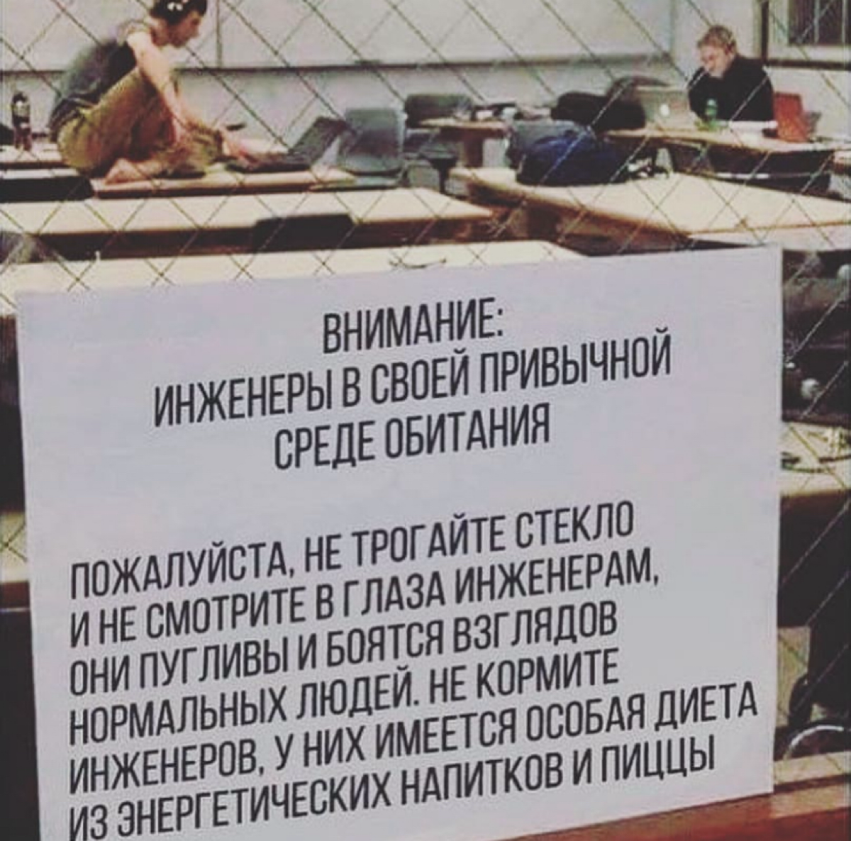 А какая у вас среда обитания в офисе?
#мем #мемдня #мемасики #мемы #офис #office | Сетка — социальная сеть от hh.ru