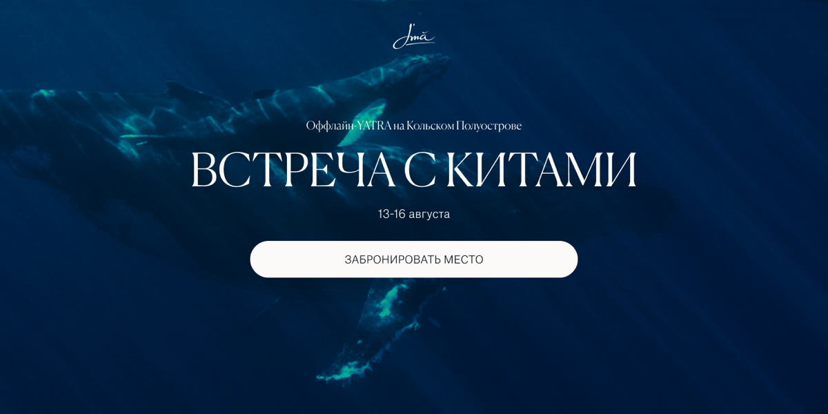 04 \ | Сетка — социальная сеть от hh.ru