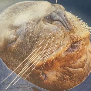 Кирилл Калинин | Сетка — социальная сеть от hh.ru