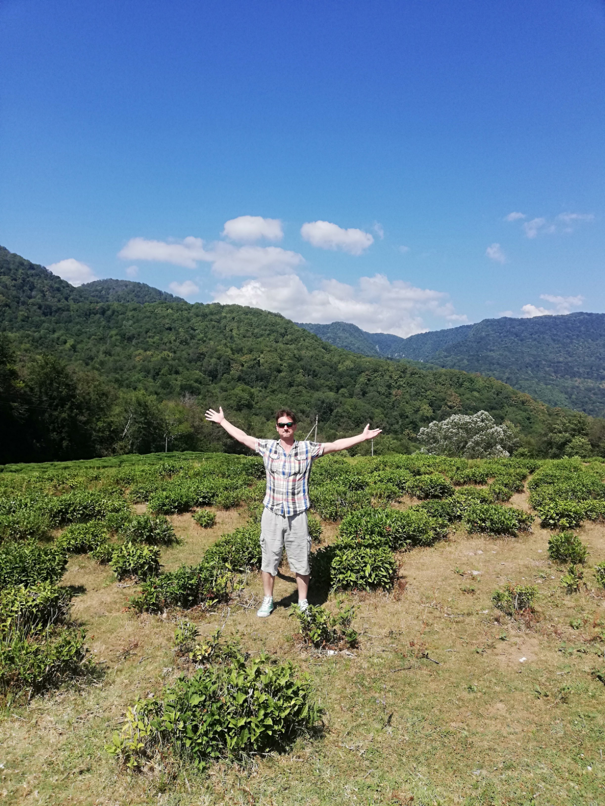 Вадим Данков | Сетка — социальная сеть от hh.ru