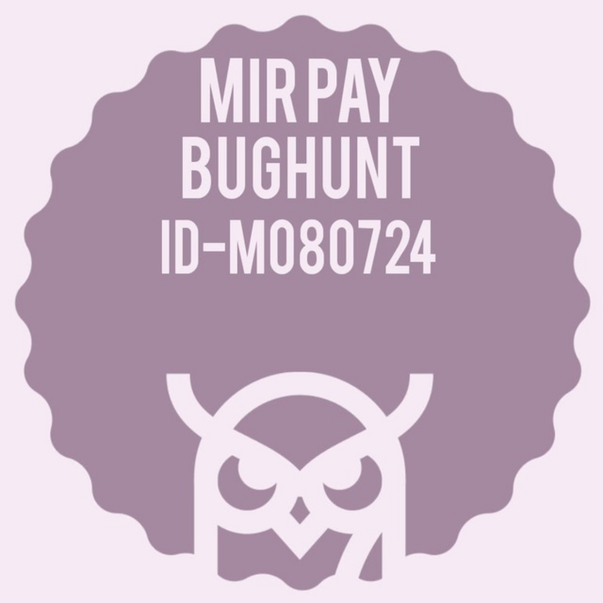 Вчера и сегодня тестировала приложение MirPay в рамках проекта Crowd-testing. Неизвестные ошибки найти не удалось | Сетка — социальная сеть от hh.ru