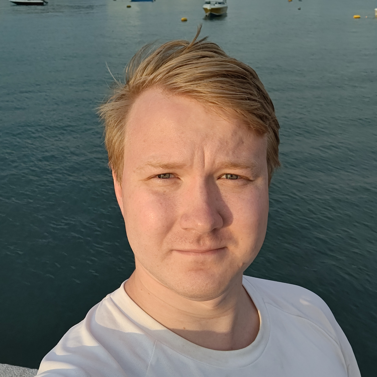 Николай Андреев | Сетка — социальная сеть от hh.ru