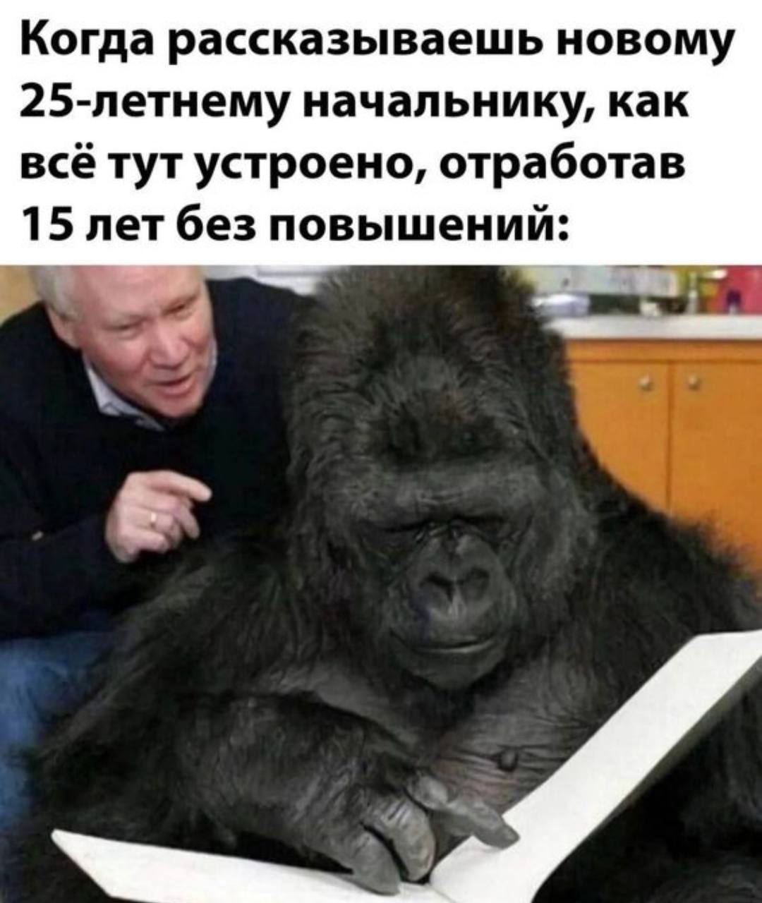 Бывало или вы тот самый 25-летний? | Сетка — социальная сеть от hh.ru