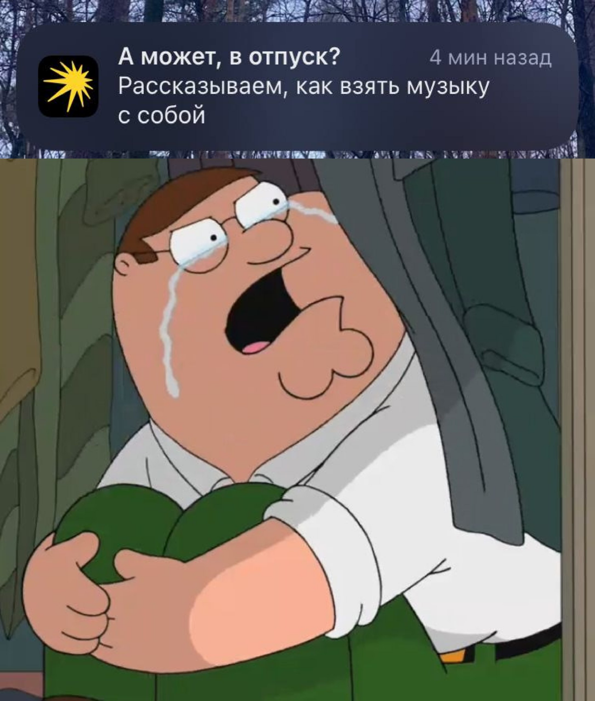 Сетка — социальная сеть от hh.ru