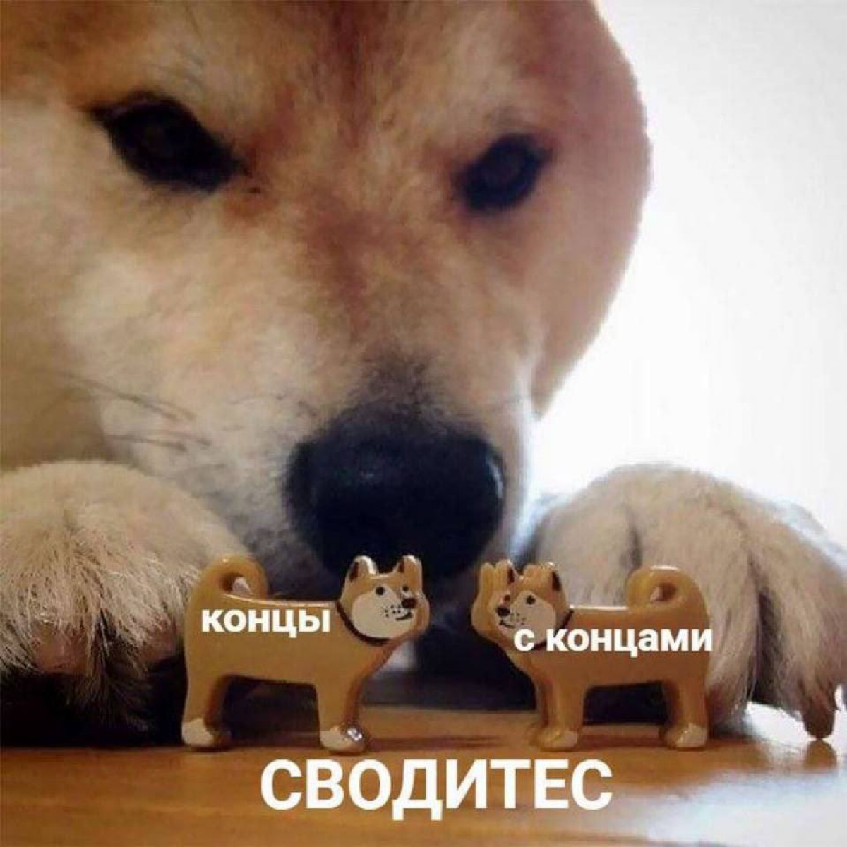 Я через день после зп: | Сетка — социальная сеть от hh.ru