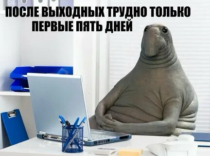 #Мем
Сетка - HR Мемы by RFF
Telegram - HR Мемы | Сетка — социальная сеть от hh.ru