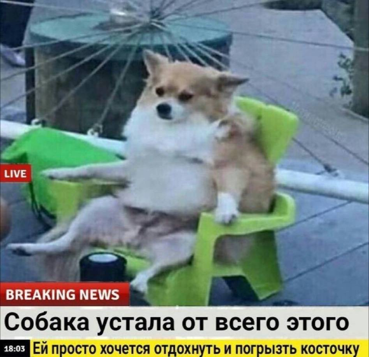 Пятница | Сетка — социальная сеть от hh.ru