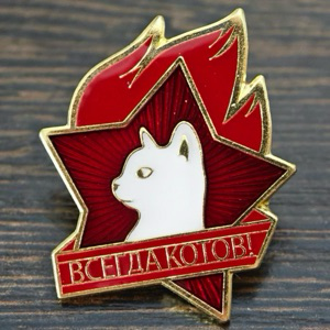 Александр Костарев | Сетка — социальная сеть от hh.ru